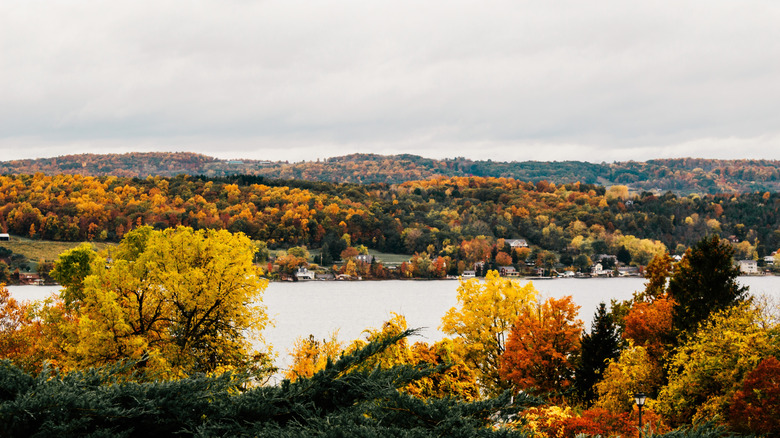 A lake seen through fall foliage