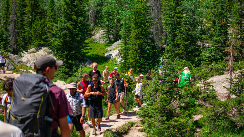 Crowds on a hike