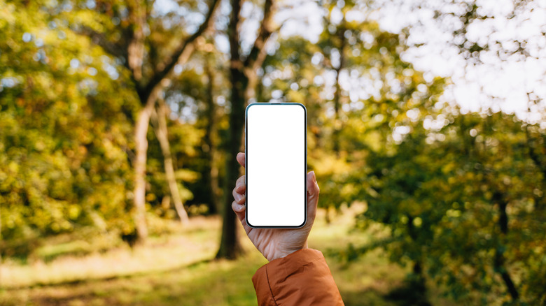 Cellphone without service in woods