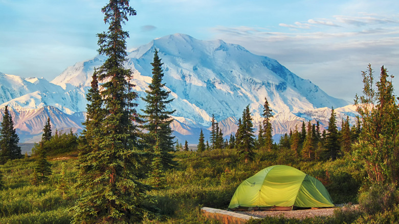 Camping tent at National Park