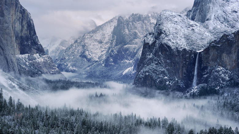 Winter in Yosemite National Park