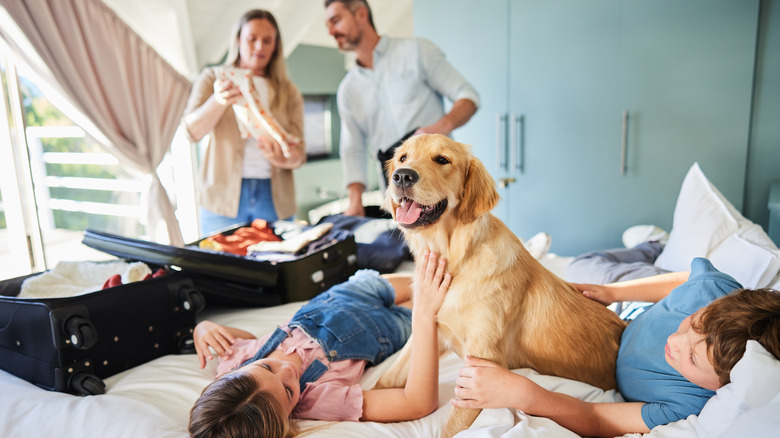 Family with dog in hotel