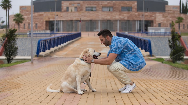 Dog at a rest stop