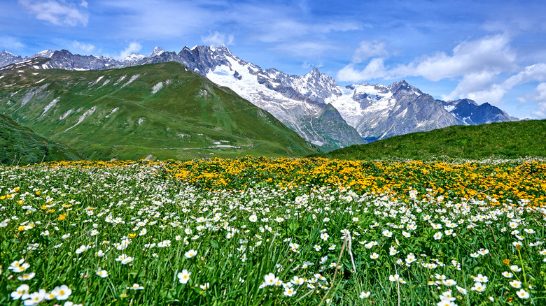 Swiss Alpis in spring