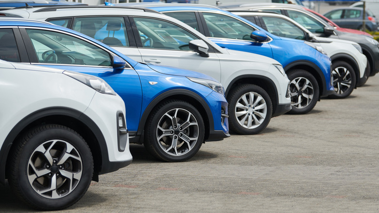 Row of rental cars