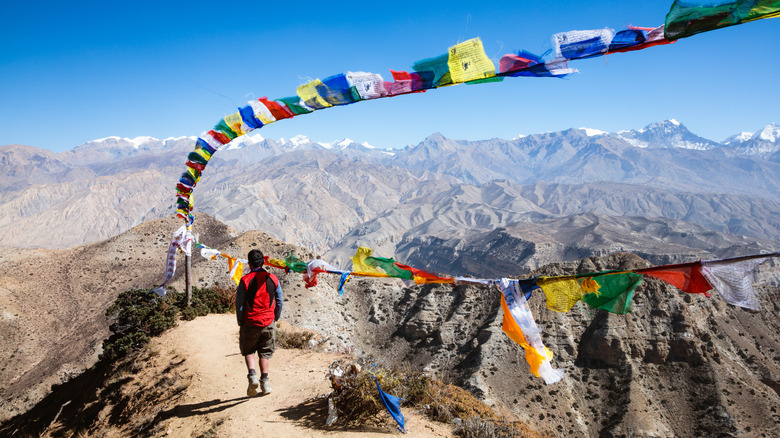 person walking through Himalayan Mountains