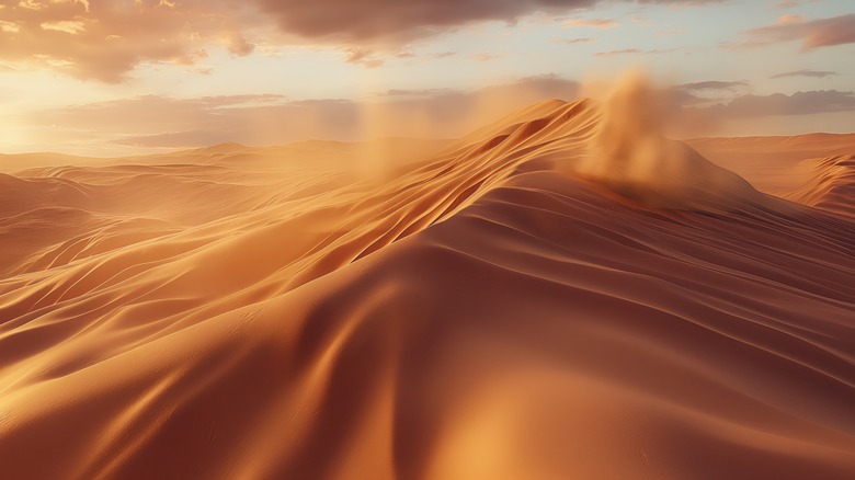 sand dunes in Sahara Desert