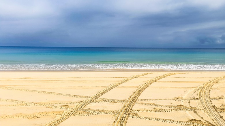 Fraser Island Beach