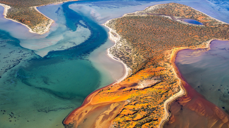 Shark Bay in Australia