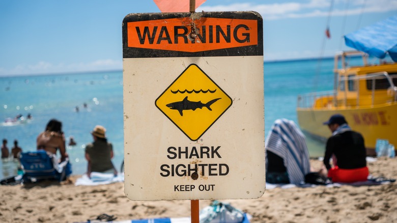 Shark warning sign at beach