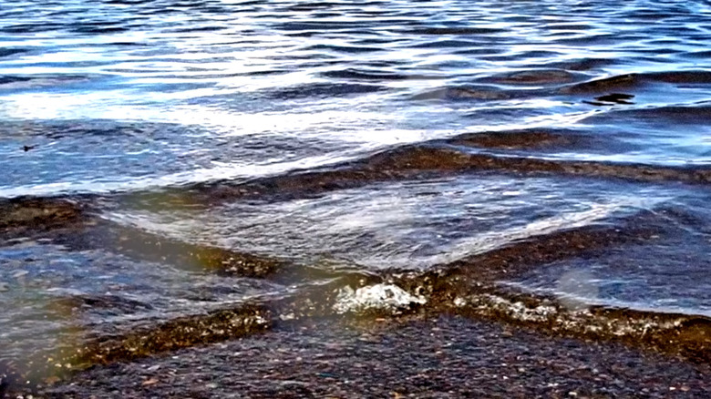 Cross-sea aka square waves that are dangerous for swimmers and boaters