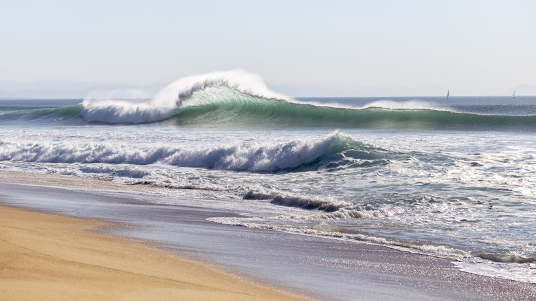 Barrel wave on a beach