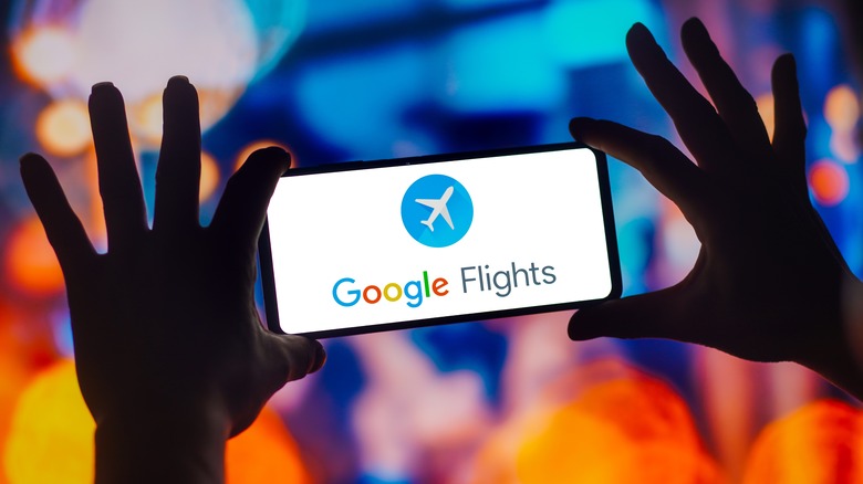 Person using Google Flights