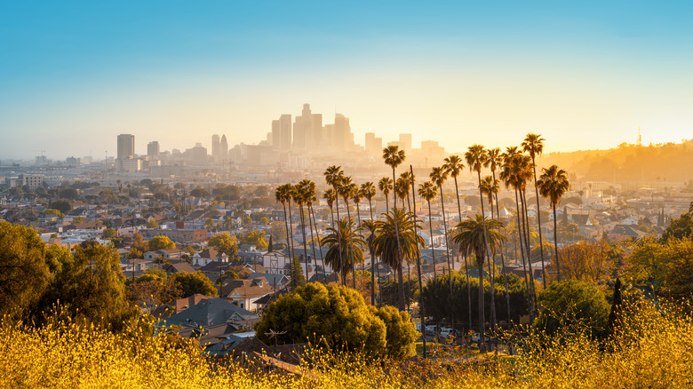 Los Angeles sunset skyline