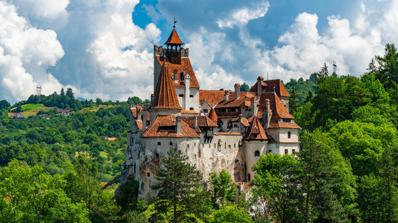 Bran Castle surrounded by trees