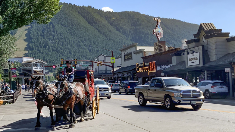 Horse walking through Jackson Hole