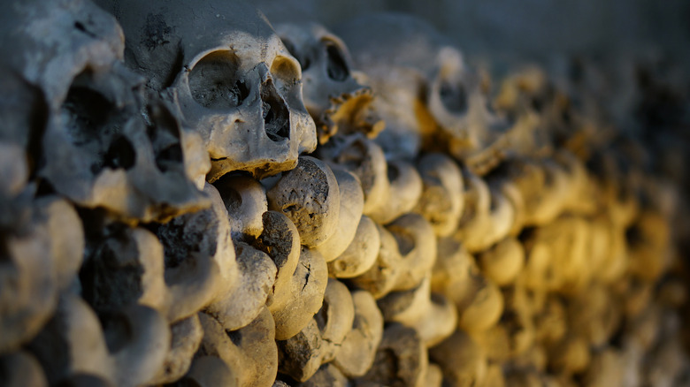 Skulls in the Fontanelle Cemetery