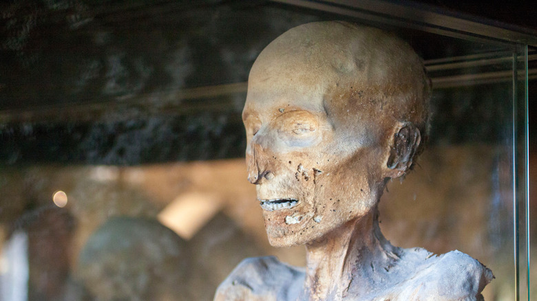 Preserved face of mummy at the museum of mummies, Ferentillo