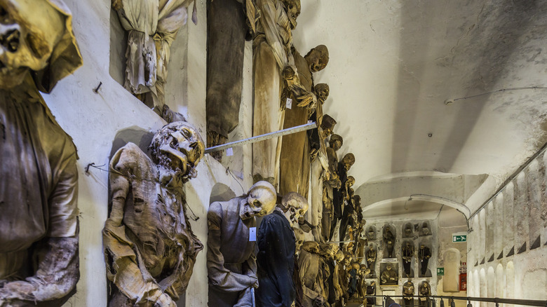 Mummies along the wall of the capuchin catacombs