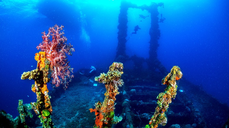 Shipwreck in Chuuk Lagoon