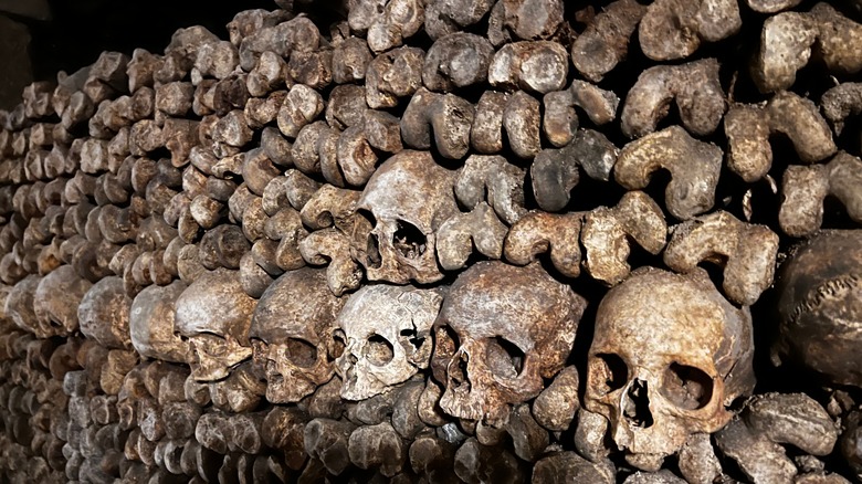 Inside of the Paris Catacombs