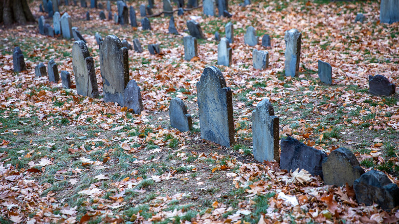 Old gravestones in New England