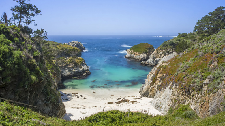 Point Lobos State Natural Reserve