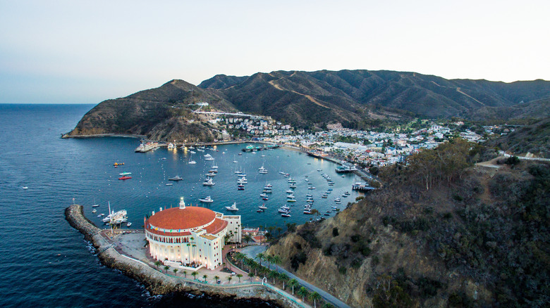 Catalina Island aerial