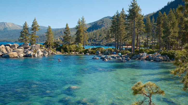 Lake Tahoe and trees