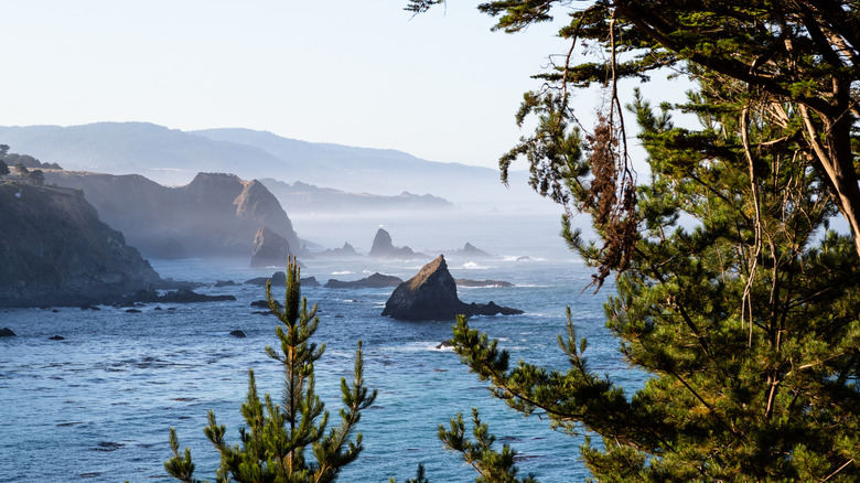 Mendocino County coastline