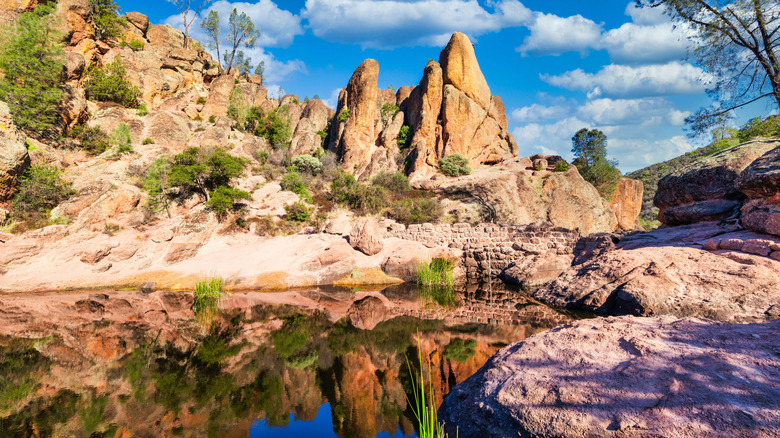 Pinnacles National Park