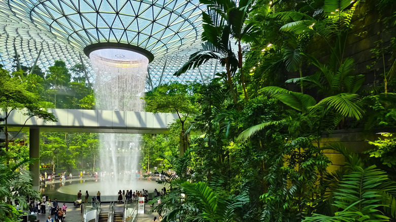 The World's largest indoor waterfall at Jewel Changi Airport