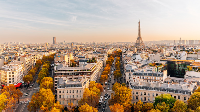 Ariel view of Paris