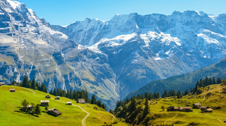 Lauterbrunnen Valley with trees and Bernese Alps