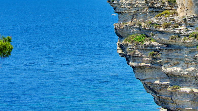 Houses on cliff near sea, Bonifacio, Corsica