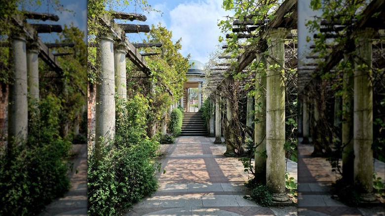 pathway with columns and greenery