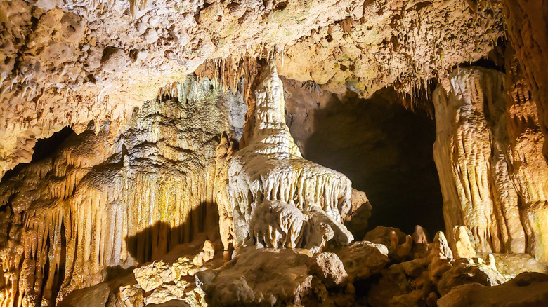 Florida Caverns State Park