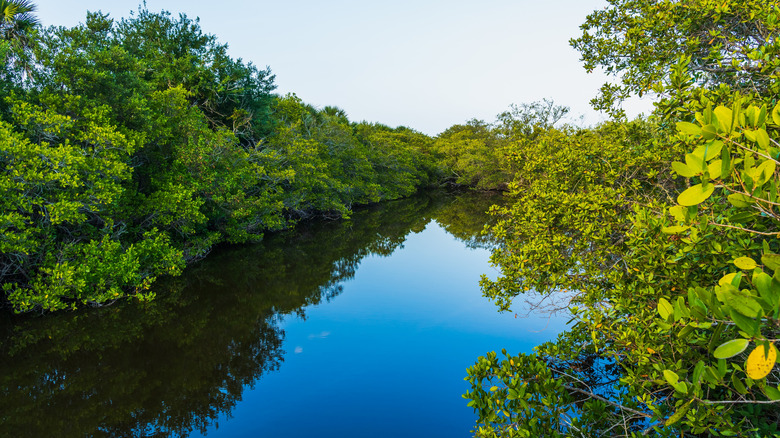 Pelican Island National Wildlife Refuge in Florida