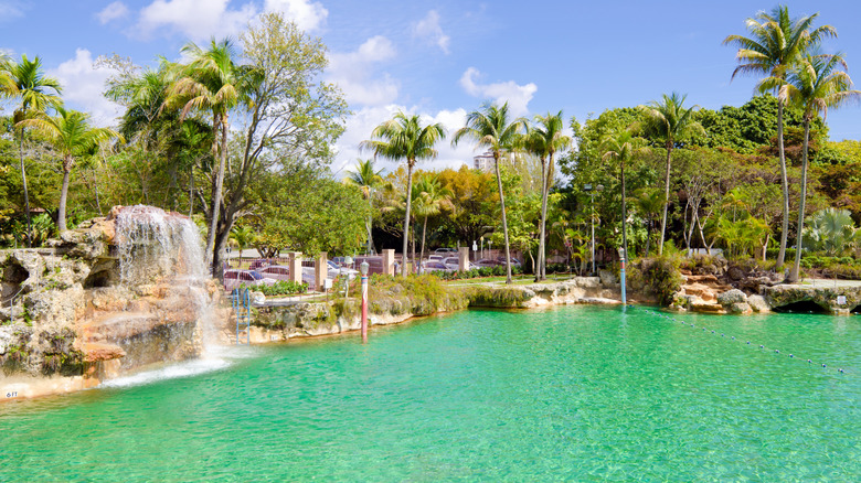 waterfall in Venetian Pool