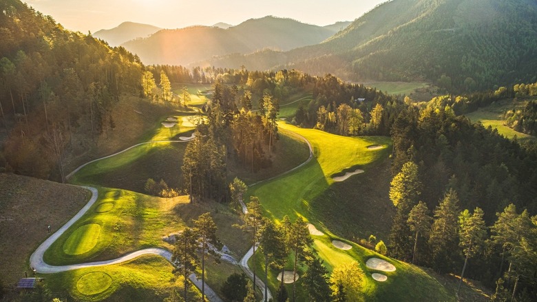 Forested hills of the Adamstal Golf Club in Austria