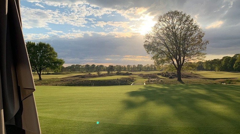 green landscape at Holland's Bernardus golf course