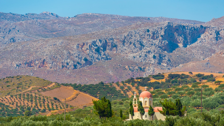 Mountain view of olive orchards in Crete