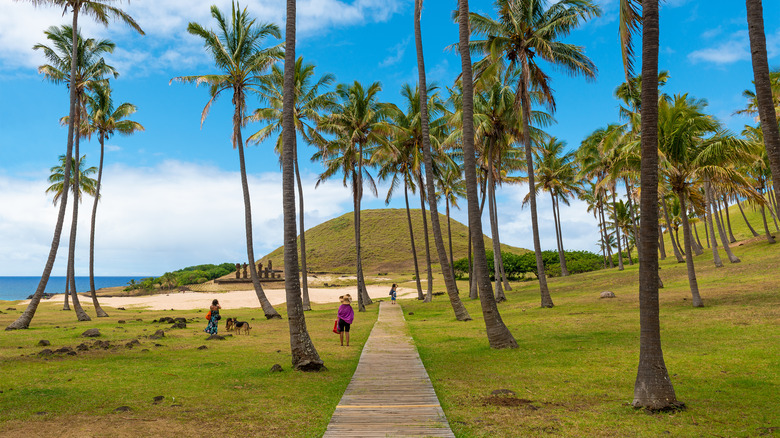 path leading to beach