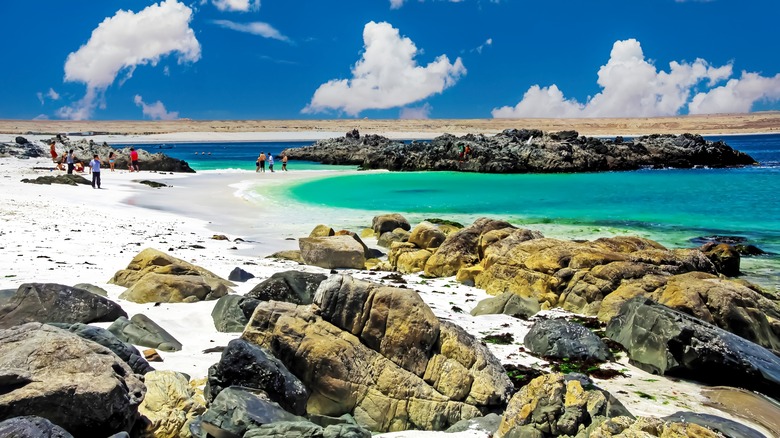 rocky turquoise beach in desert