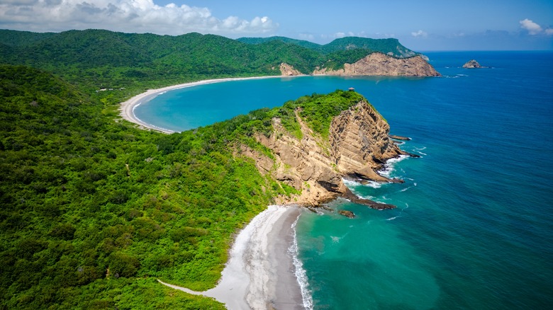 forest, cliffs and turquoise ocean