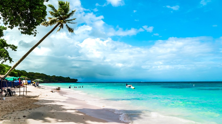 white sand and turquoise ocean