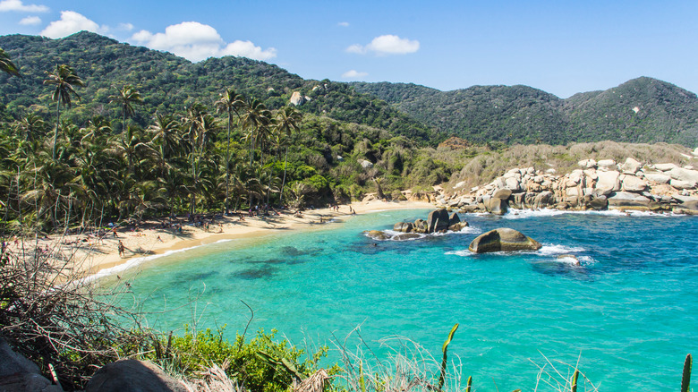 beach in Tayrona National Park