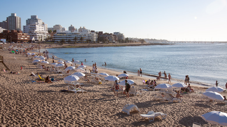 white umbrellas on Mansa Beach