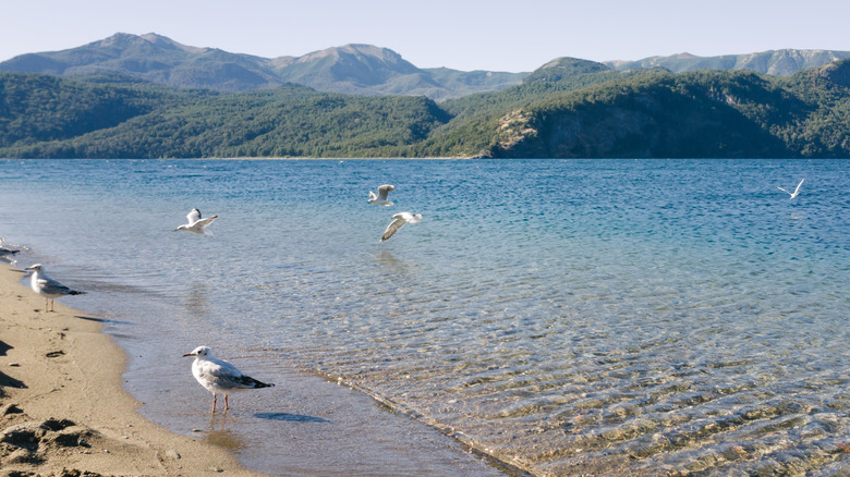 Playa Quila Quina in Argentina