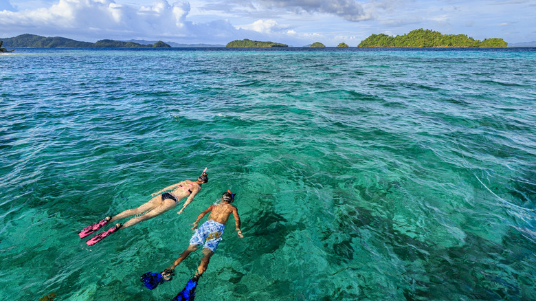 Couple snorkeling in the clear waters of the Philippines